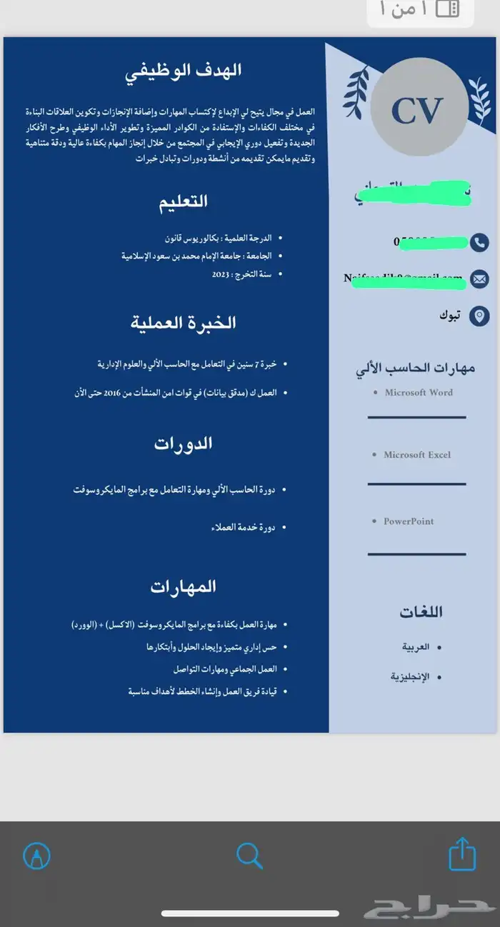 سيرة ذاتية احترافية 21