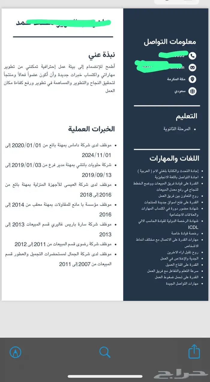 سيرة ذاتية احترافية 2
