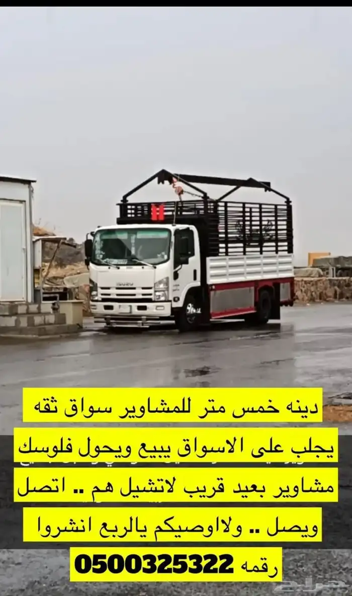 دينا خمس متر ونش نقل غنم نقل الإبل يوجد طابقين 0