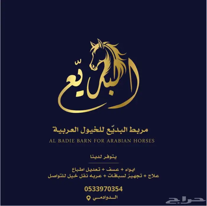 مربط البديع للخيول العربية بالدوادمي 0