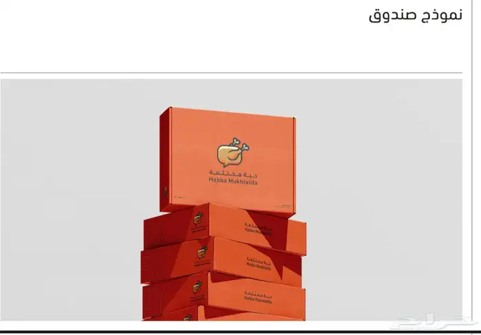تصميم شعار و الهوية البصرية 5