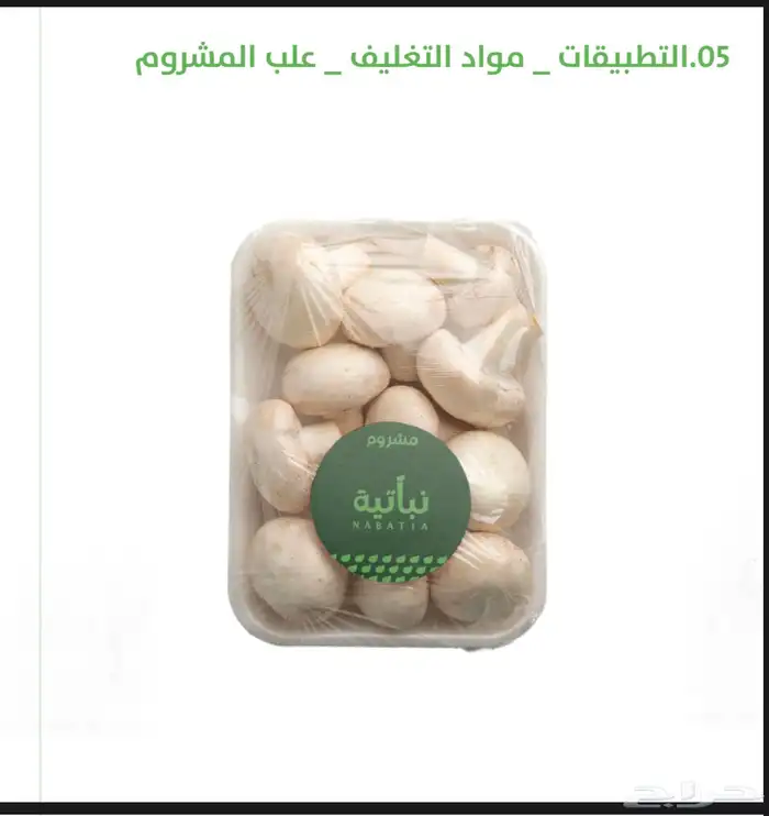 تصميم لوقو و الهوية البصرية 6