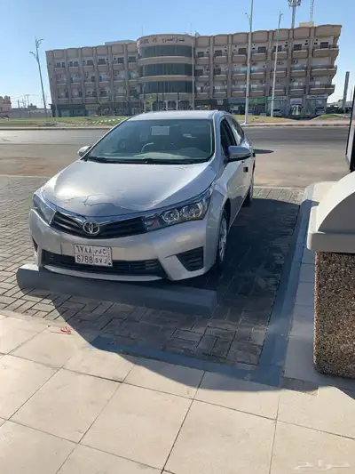 كداد طريف عرعر 0