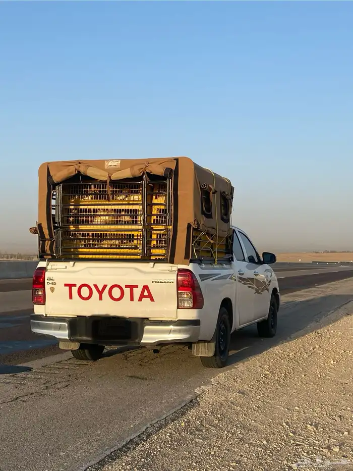 توصيل حلال و طيور و غيرها 0