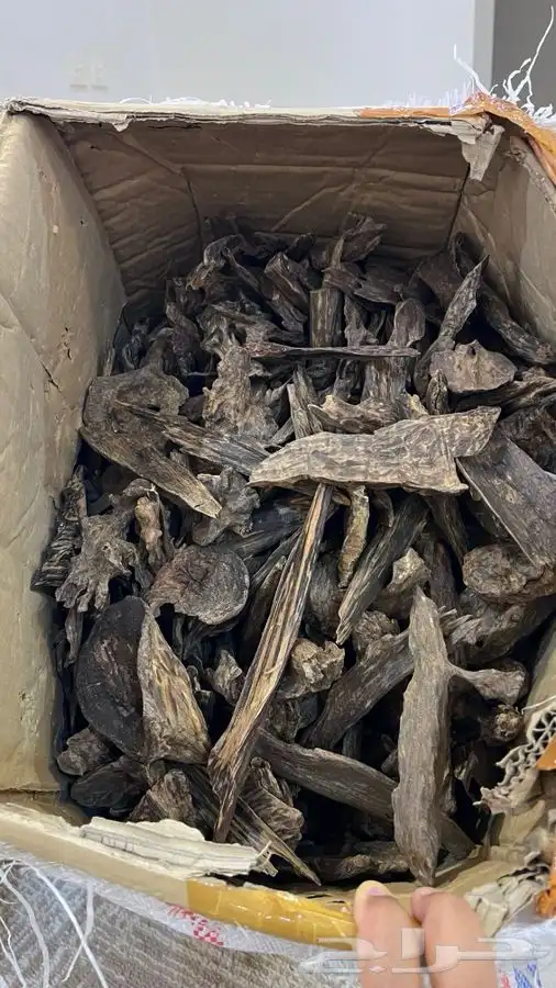 عود فاخر طبيعي دبل سوبر كسر مباخر بسعر الجمله 0