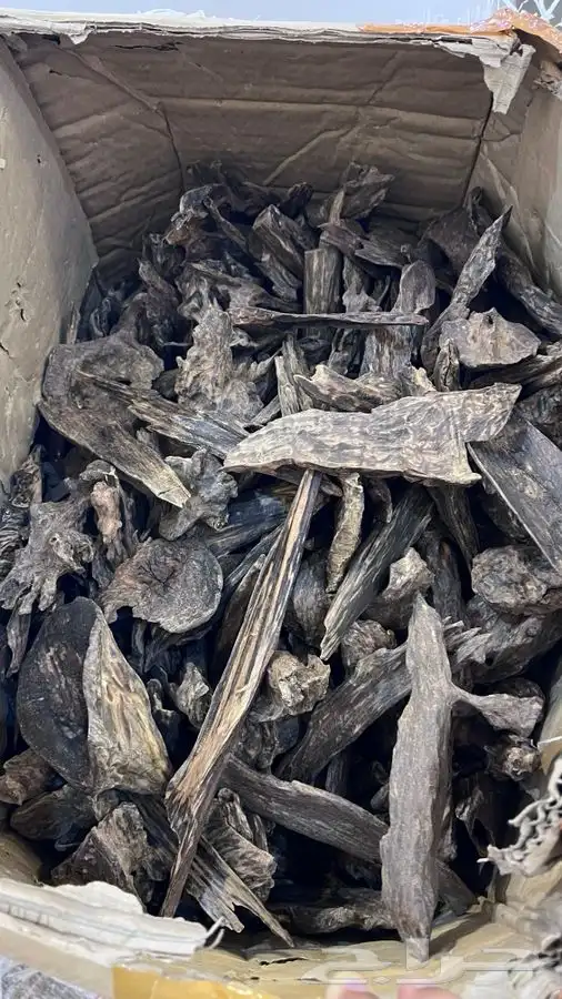 عود فاخر طبيعي دبل سوبر كسر مباخر بسعر الجمله 3