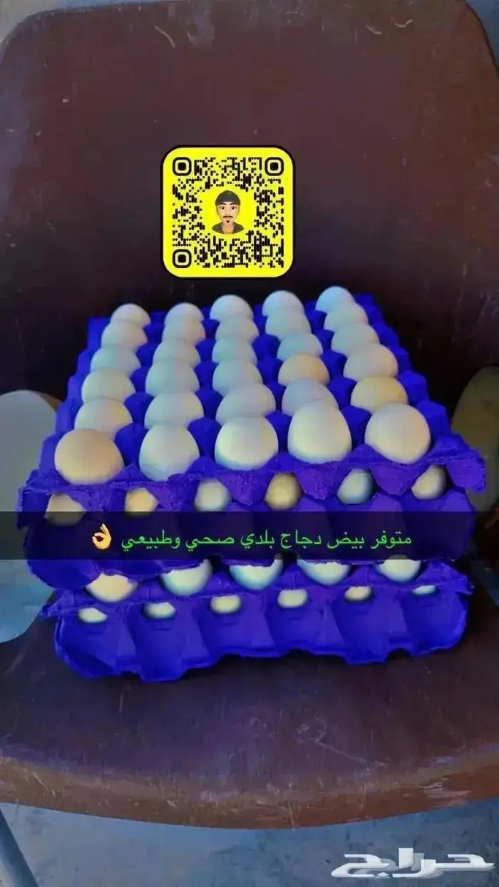 زغاليل حمام فرنسي بط بكيني ديوك سمان دجاج لاحم بيض دجاج 3