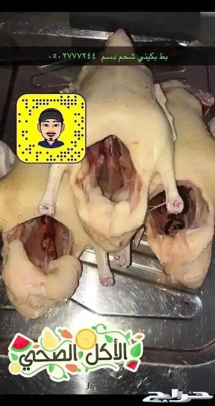 زغاليل حمام فرنسي بط بكيني ديوك سمان دجاج لاحم بيض دجاج 5