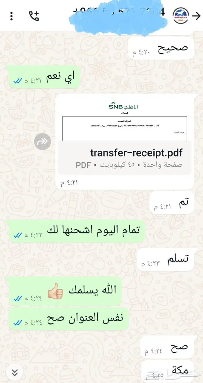 رأس نافورة مع مضخة 11