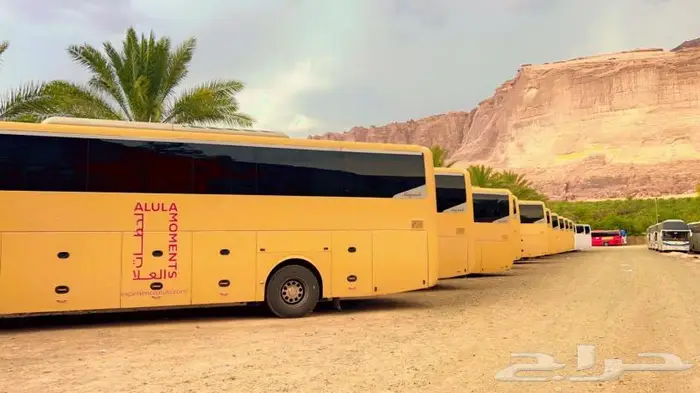 خدمات التشغيل ( باصات للايجار ) 0