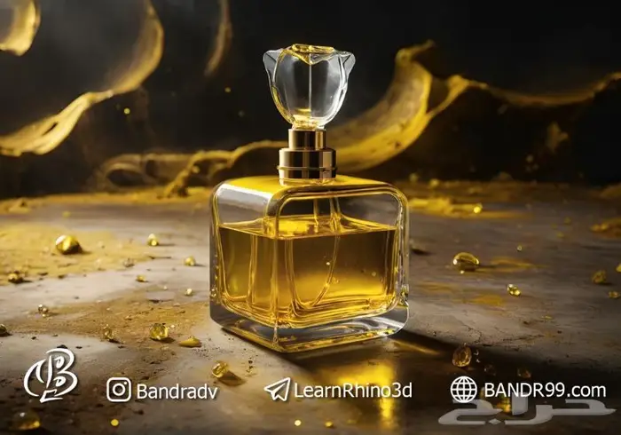 هل تريد تعلم Rhino 3D بسهولة - شاهد بعض أعمالي 64