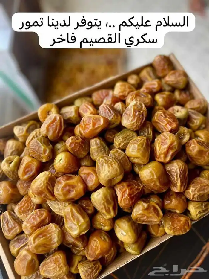 تمر سكري مفتل 3