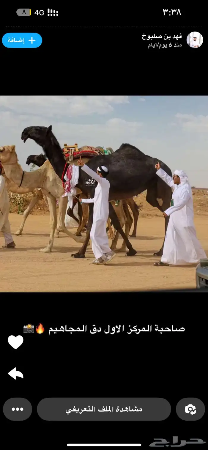 نقل شرايح البل واسقاطها واتلافها 0