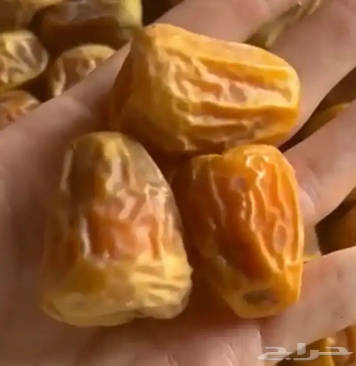 تمر سكري 2