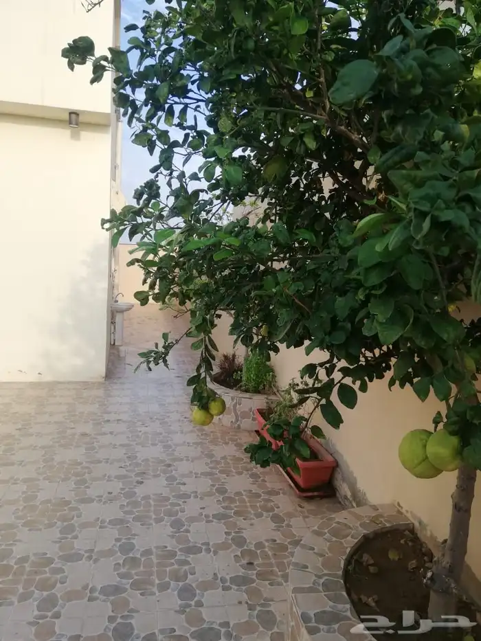 استراحه للبيع 11