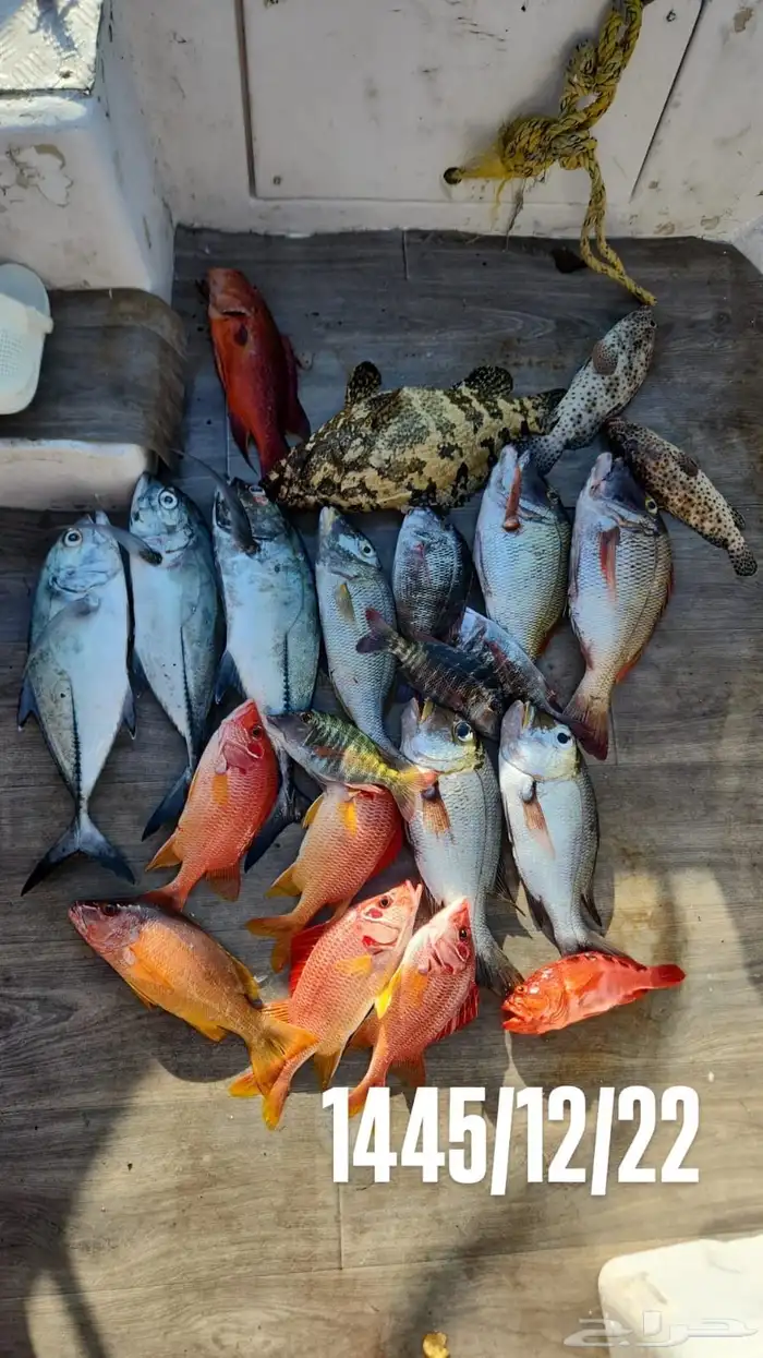 رحلات بحريه 3