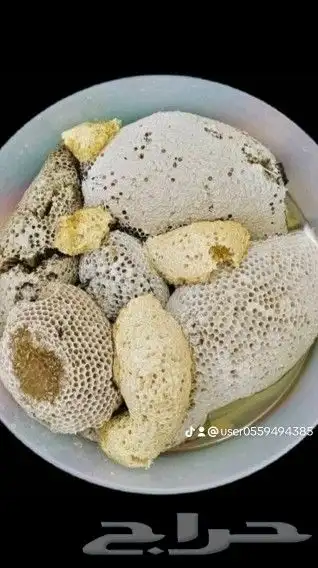 عسل النحل البري (عسل سدر) او سمره الكيلو 300ريال والصحن 400 10