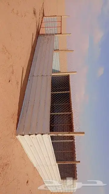 شبك للحلال 1