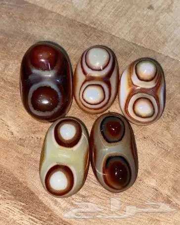 فصوص سليماني بوسنامين 0