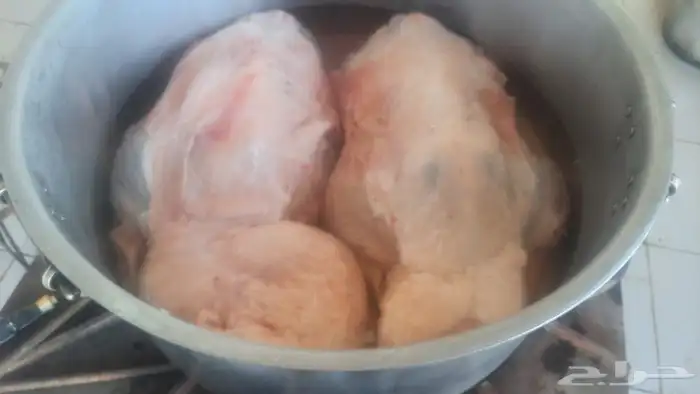 طباخ متنقل داخل وخارج الرياض جريش قرصان مندي حنيذ 3