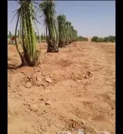 نقوم بتركيب الشبوك المجلفن والوطني ملاعب ولامزارع وتوريد انخ 6