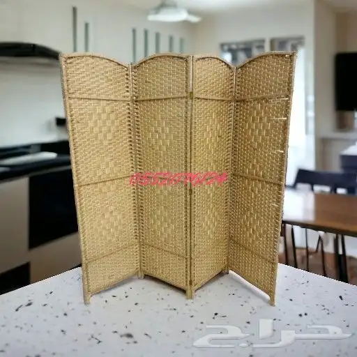 بارتشن 6