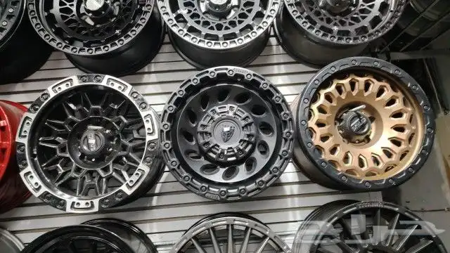 جنوط جميع الأنواع المختلفة 1