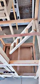 اقفاص طيور 6