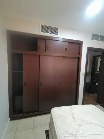 اصباغ الجبيل 3