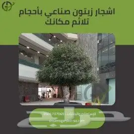 زيتون صناعي بجذع طبيعي 6