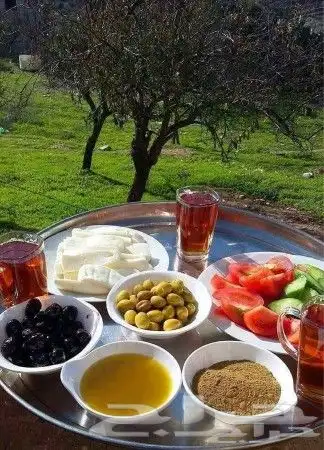 زيت زيتون فلسطيني معصور على البارد جديد الموسم لكل المناطق 19