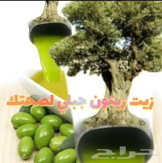 زيت زيتون فلسطيني معصور على البارد جديد الموسم لكل المناطق 18