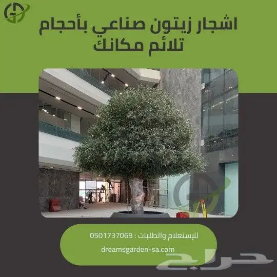 زيتون صناعي بجذع طبيعي 5