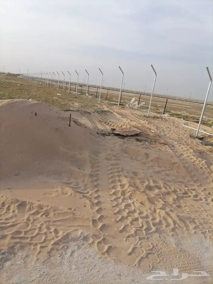 مقول شبوك ونخيل 3