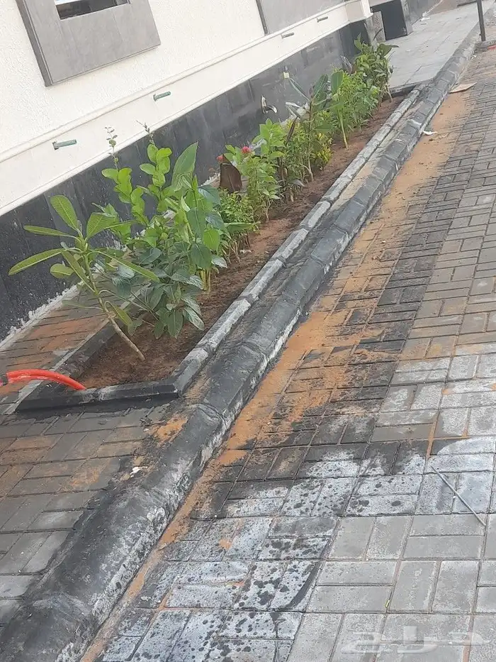 بيع شتلات واشجار 2