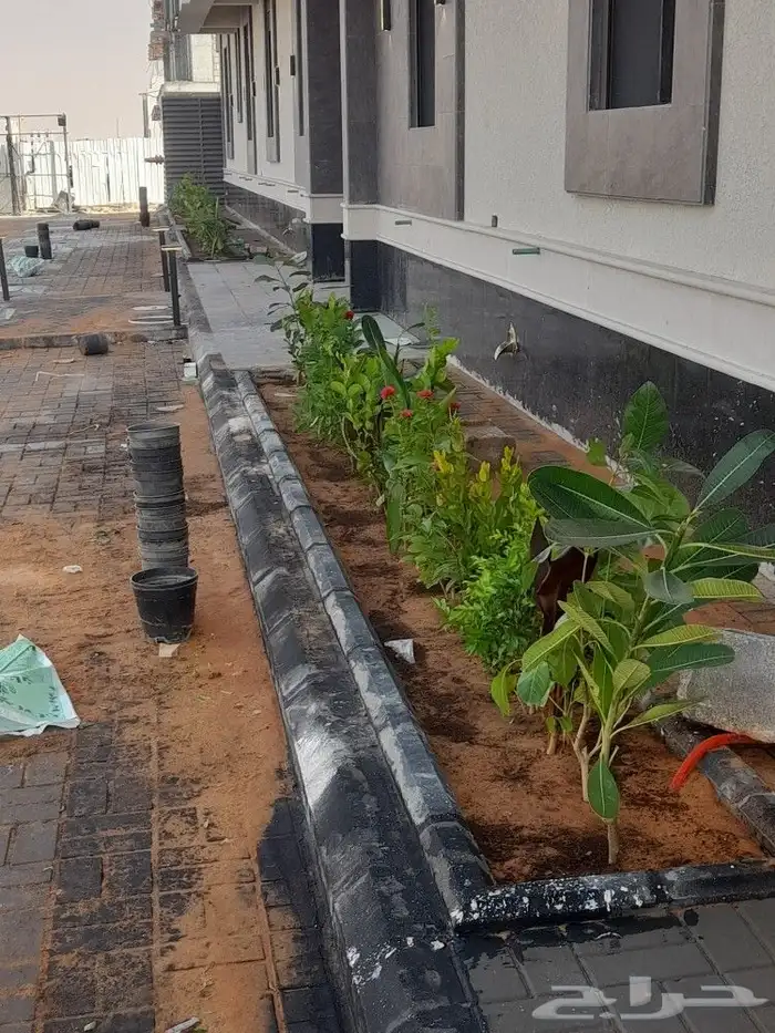 بيع شتلات واشجار 0