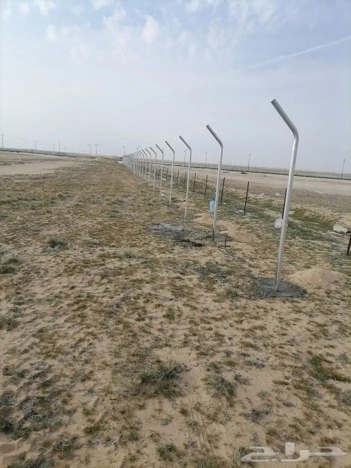 مقول شبوك ونخيل 6