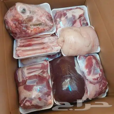 طبخ سواكني حري مع التوصيل وذبايح ثلاجة 8