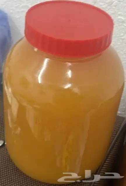 سمن بلدي غنم 0