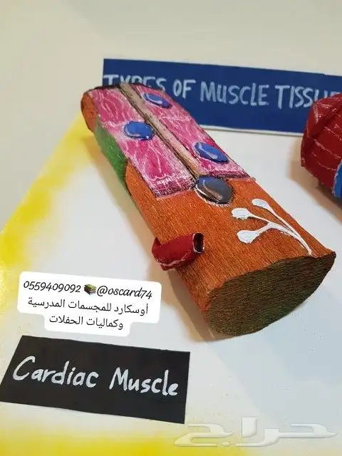 مجسمات مدرسية و مشاريع تخرج و تفعيل وانشطة 6