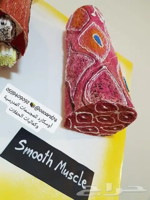 مجسمات مدرسية و مشاريع تخرج و تفعيل وانشطة 4