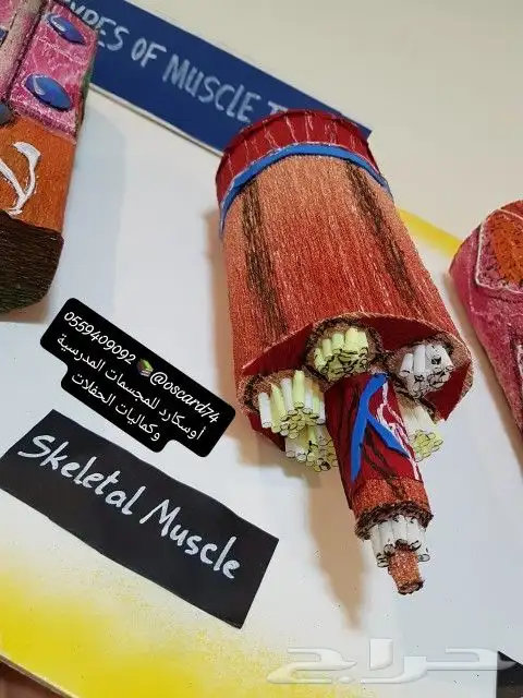 مجسمات مدرسية و مشاريع تخرج و تفعيل وانشطة 5