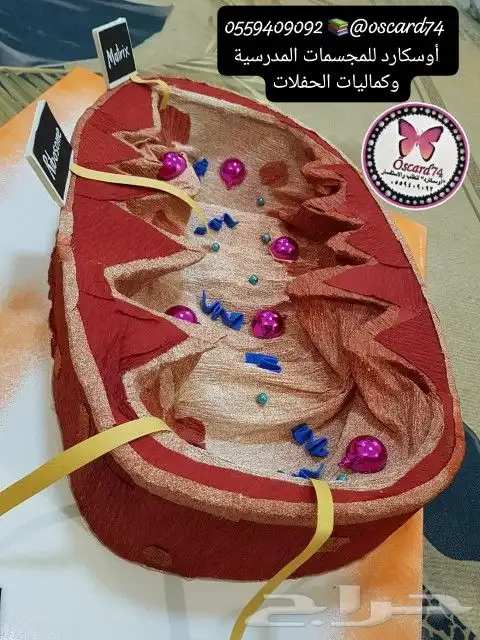 مجسمات مدرسية و مشاريع تخرج و تفعيل وانشطة 3