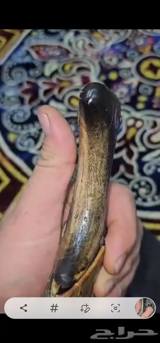 جنابي قديمة جدا 7