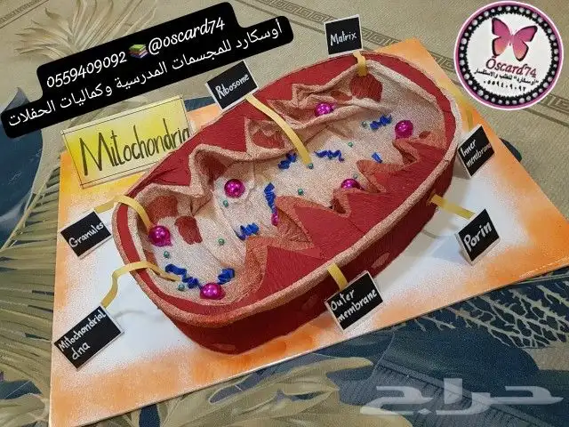 مجسمات مدرسية و مشاريع تخرج و تفعيل وانشطة 1