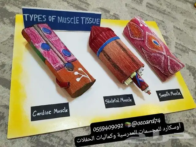 مجسمات مدرسية و مشاريع تخرج و تفعيل وانشطة 2