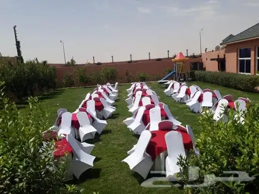 كراسي طاولات طعام 4