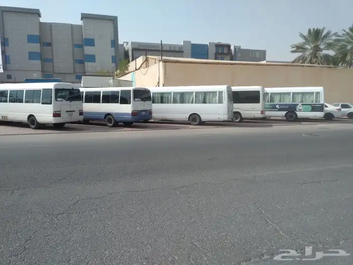 تأجير باصات (باص) 3