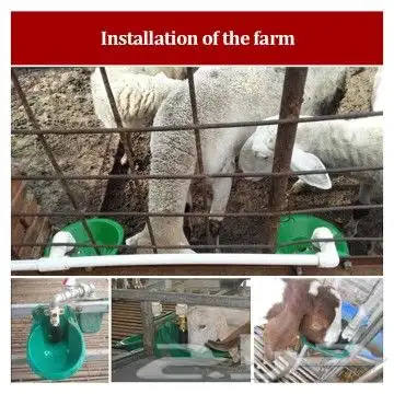 سقاية غنم أو الحلال موقعي الرياض جنوب طريق الحاير 13