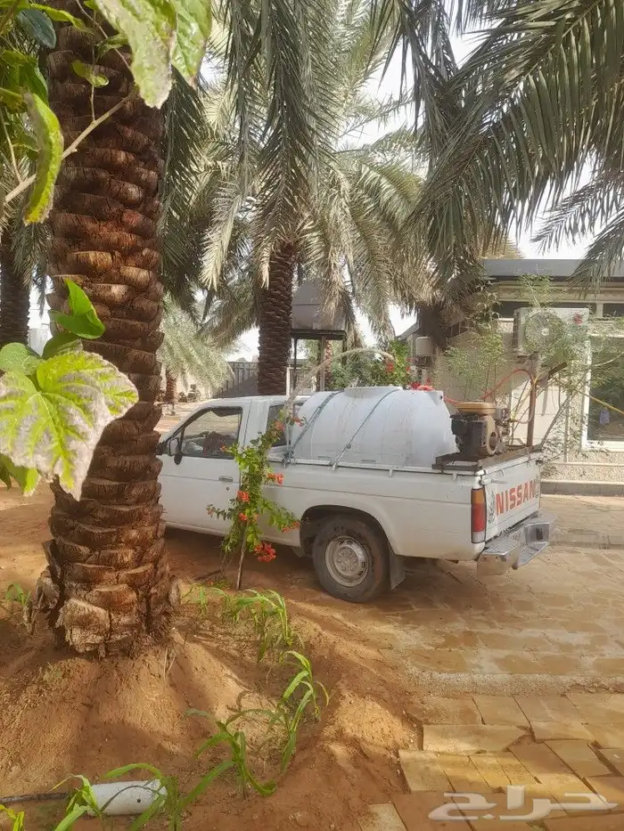 رش نخل كل المبيدات الحشرية 1